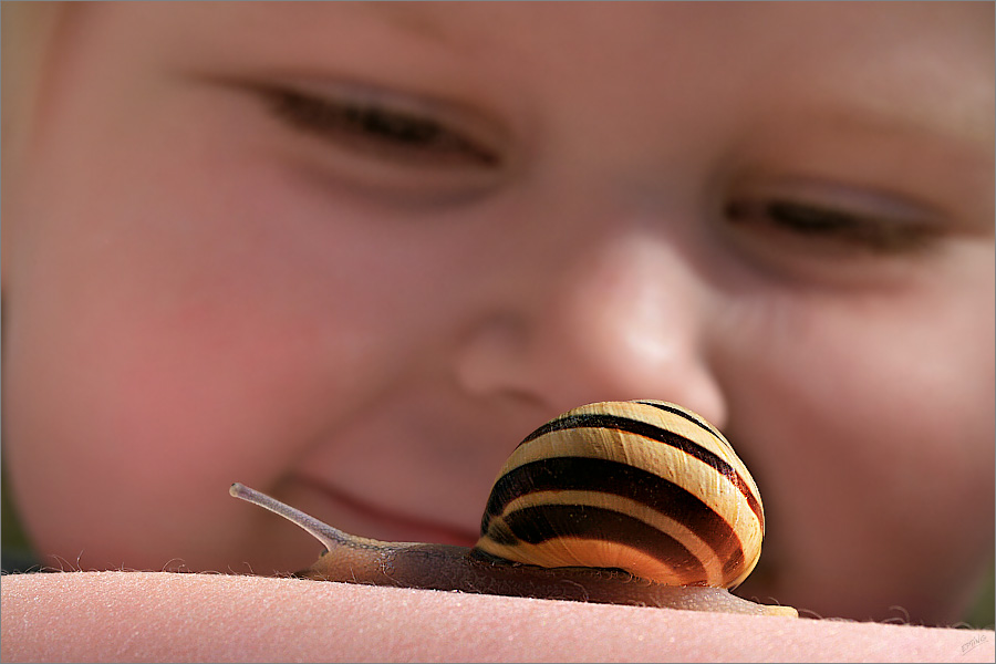 Das Mädchen und die Schnecke