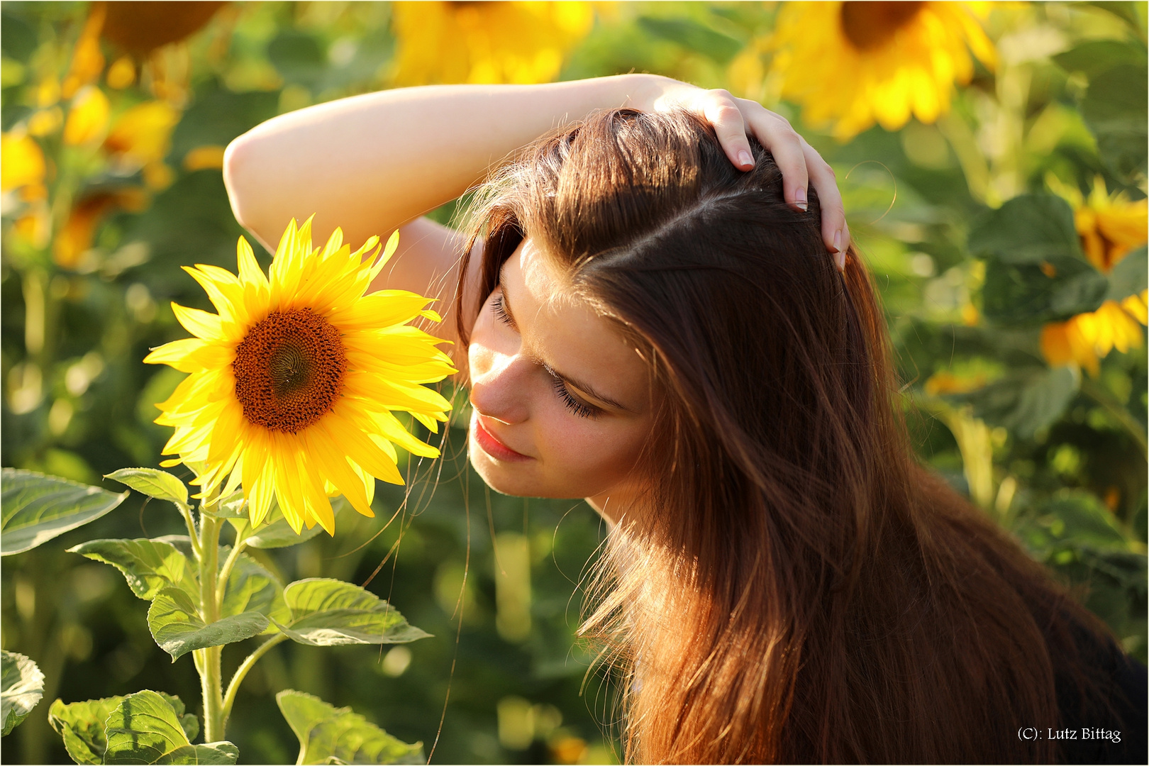 Das Mädchen und die Sonnenblume