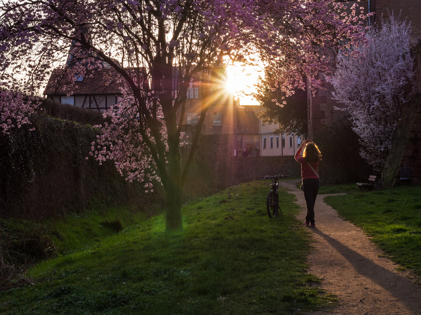 Das Mädchen zur Sonne