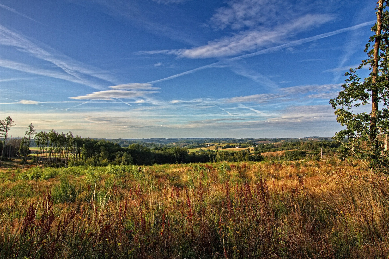 Das Märkische Sauerland