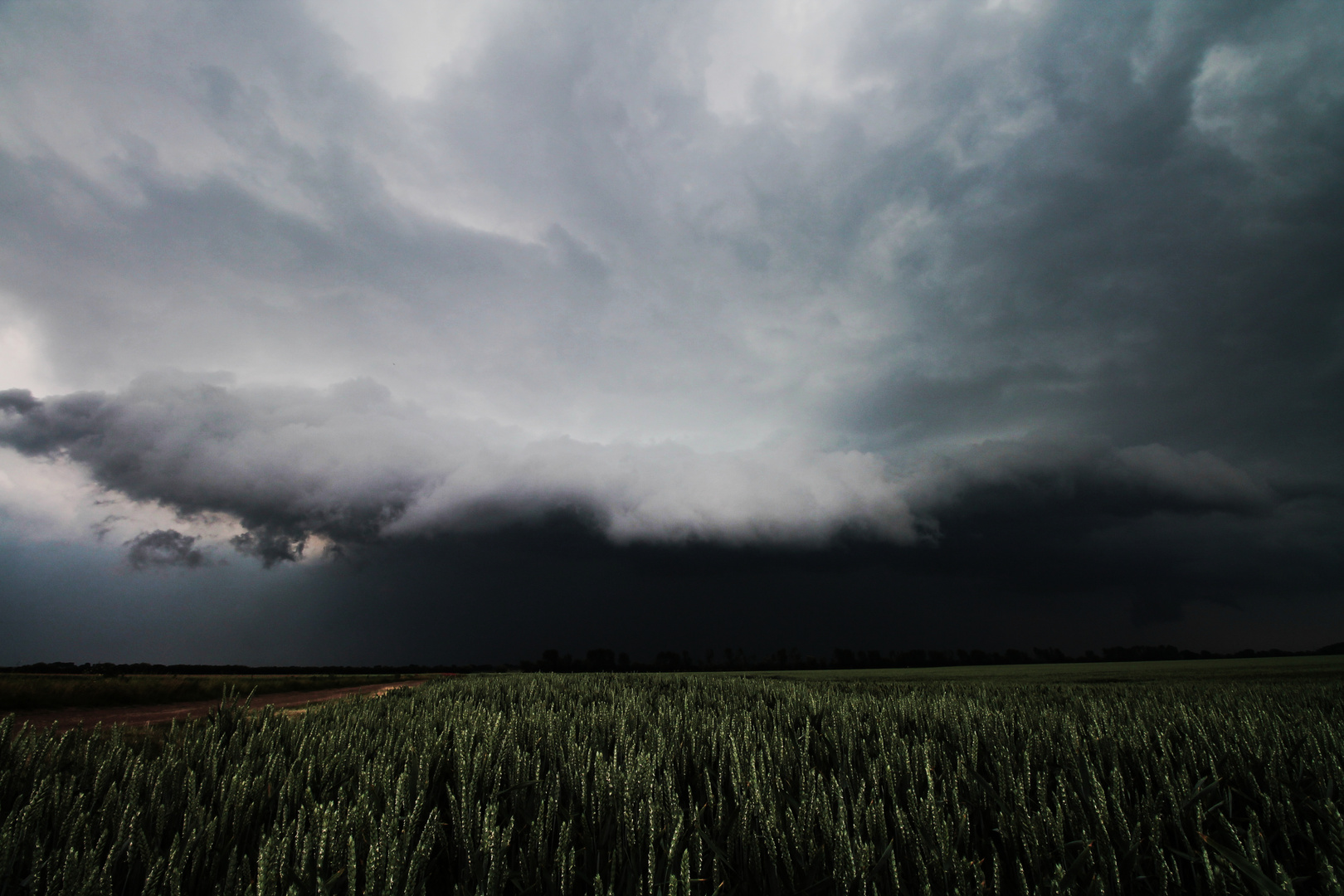 Das Magdeburger Regenmonster