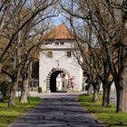 das Maintor in Sommerach