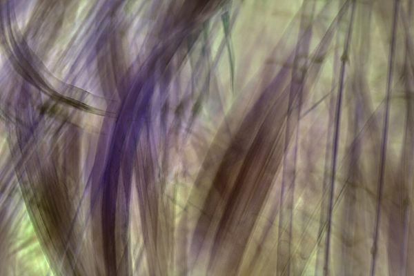 Das Malen mit der Kamera