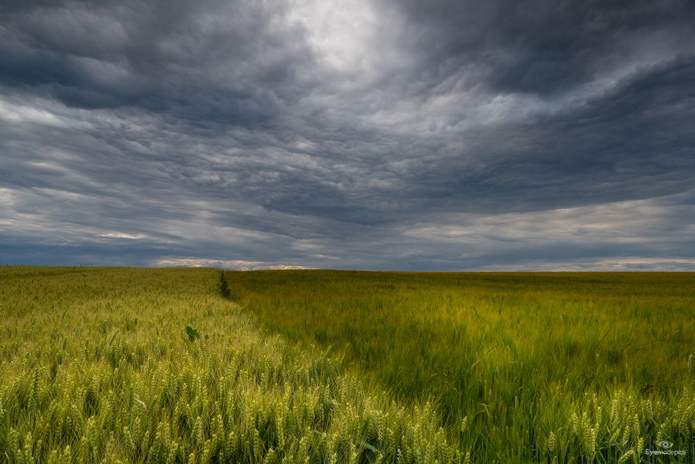 Das Markgräflerland bei Blansingen