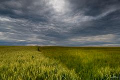 Das Markgräflerland bei Blansingen