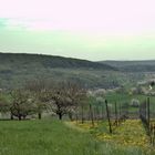 Das Markgräflerland ~~~ grau-bunt