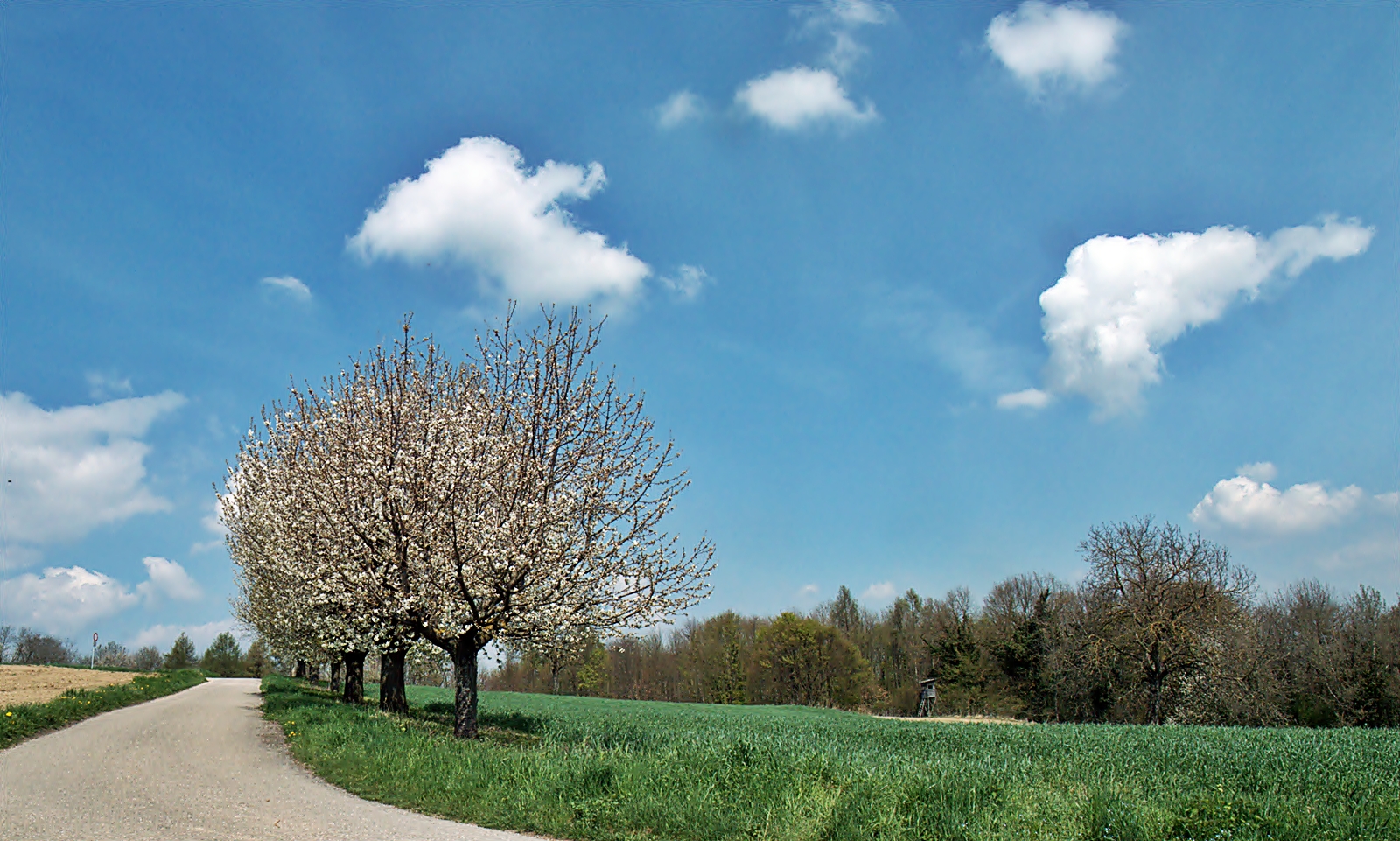 Das Markgräflerland ~~~ grün-weiss-blau