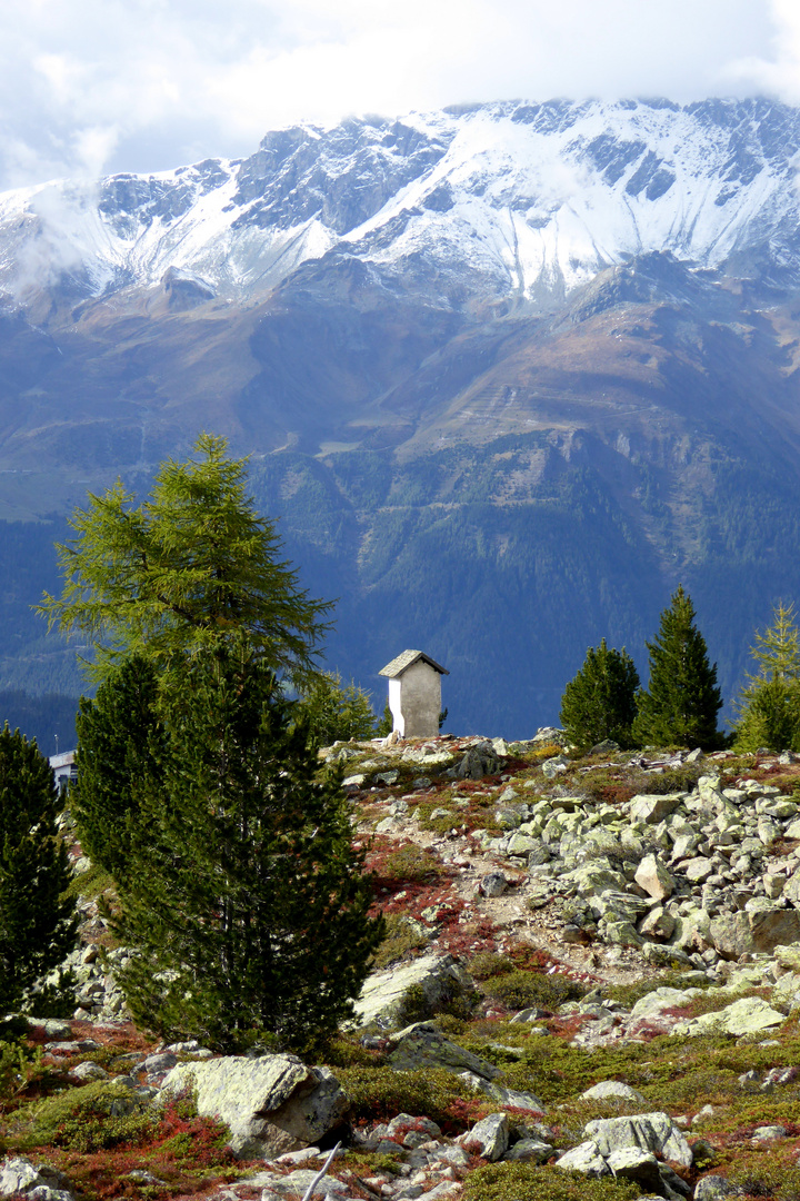 Das Marterl am Goldseeweg