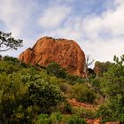 Das Massif de l'Esterel