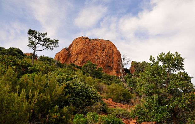 Das Massif de l'Esterel