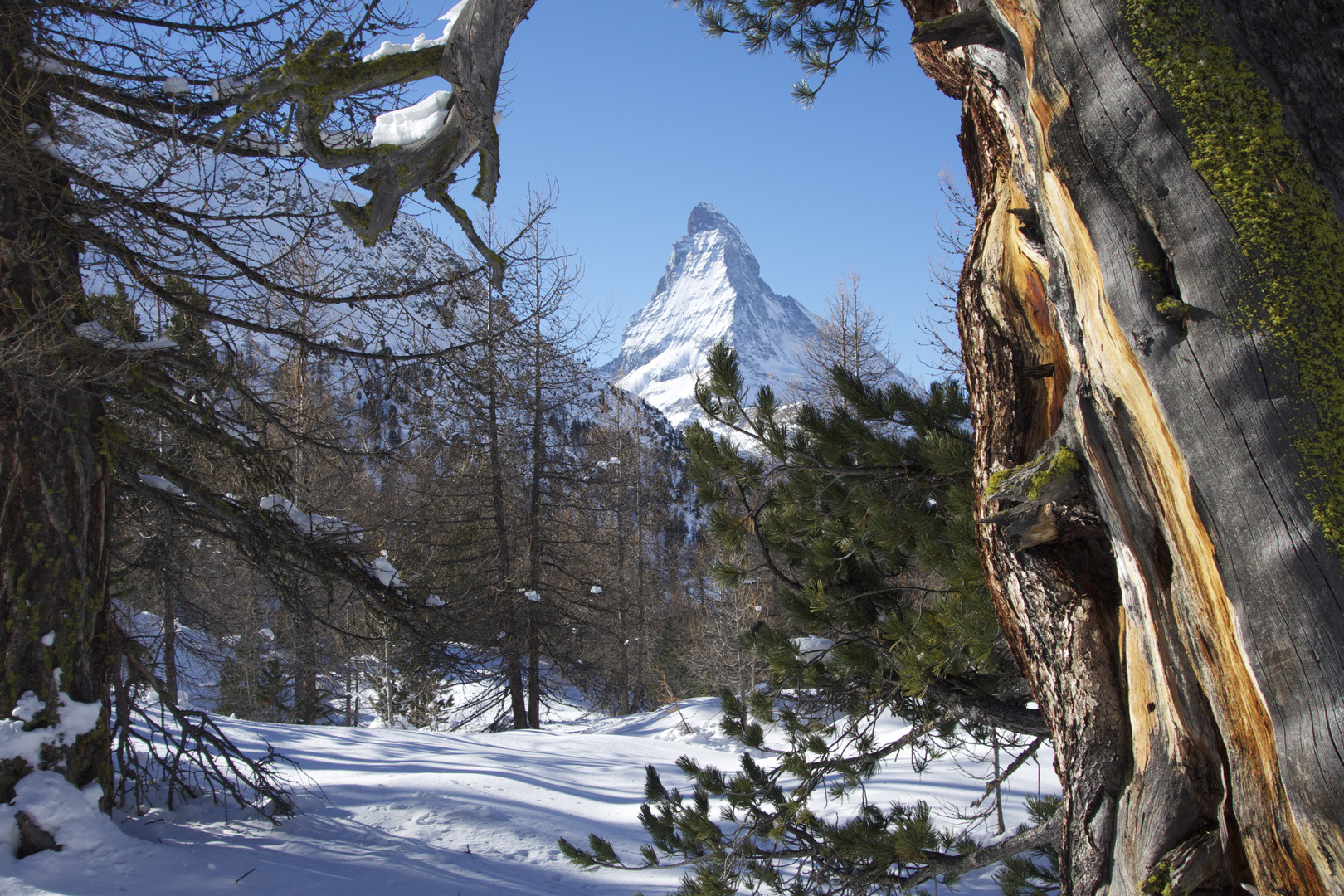 das Matterhorn