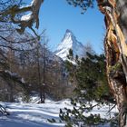 das Matterhorn