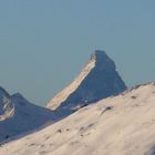 Das Matterhorn am Morgen von Belalp aus
