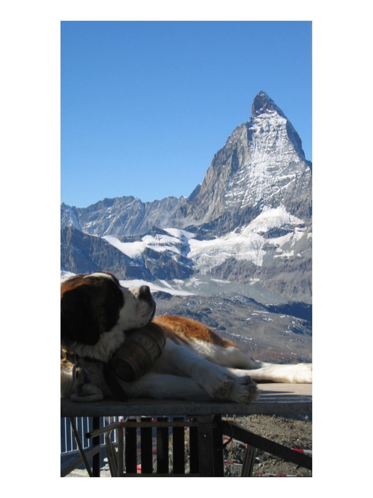 das Matterhorn mit Vorlage