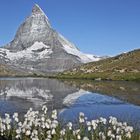 Das Matterhorn wollte "sein Wollgras" auch mal wieder zeigen...