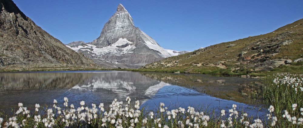 Das Matterhorn wollte "sein Wollgras" auch mal wieder zeigen...