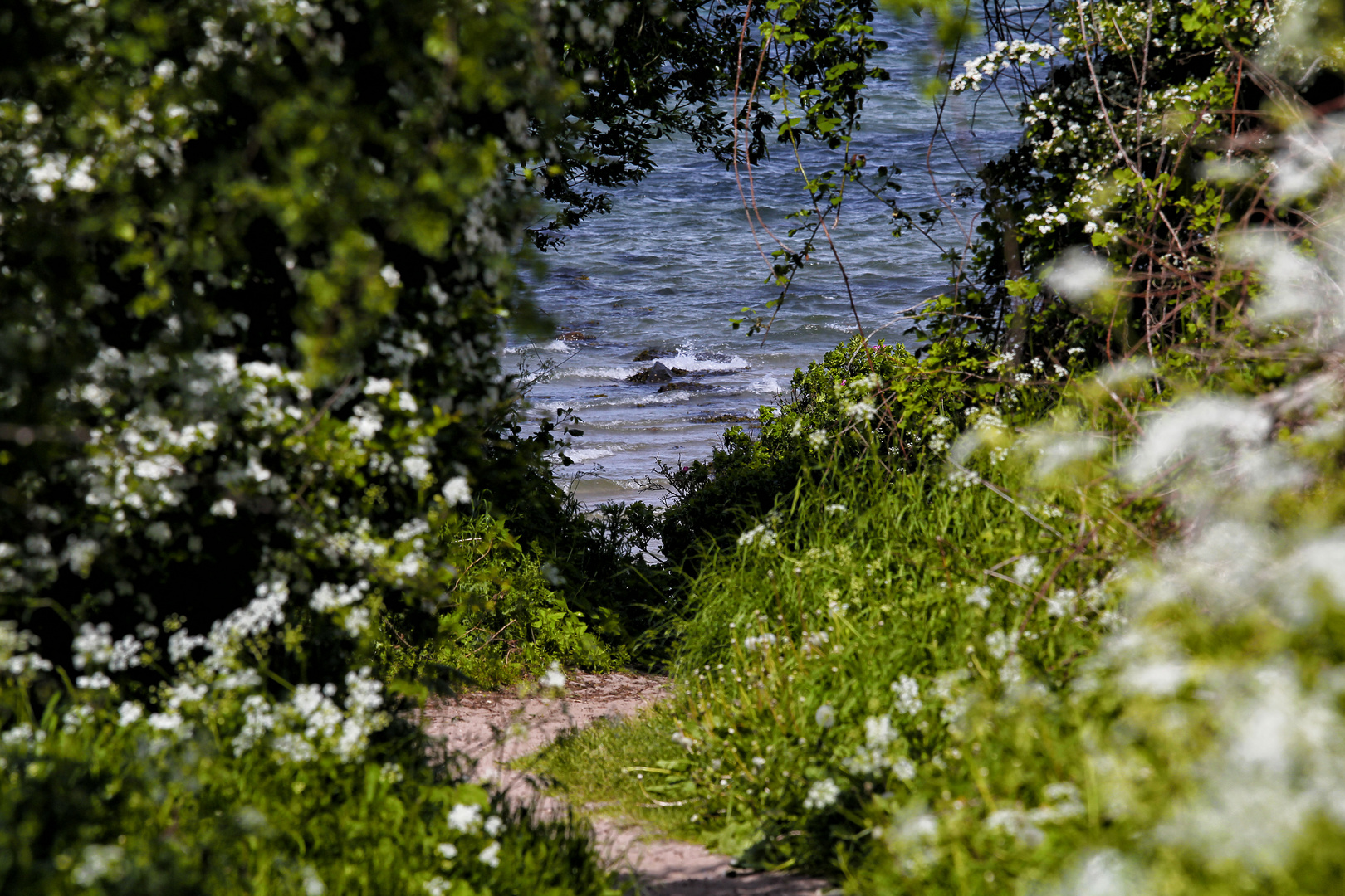 Das Meer am Ende des Tunnels