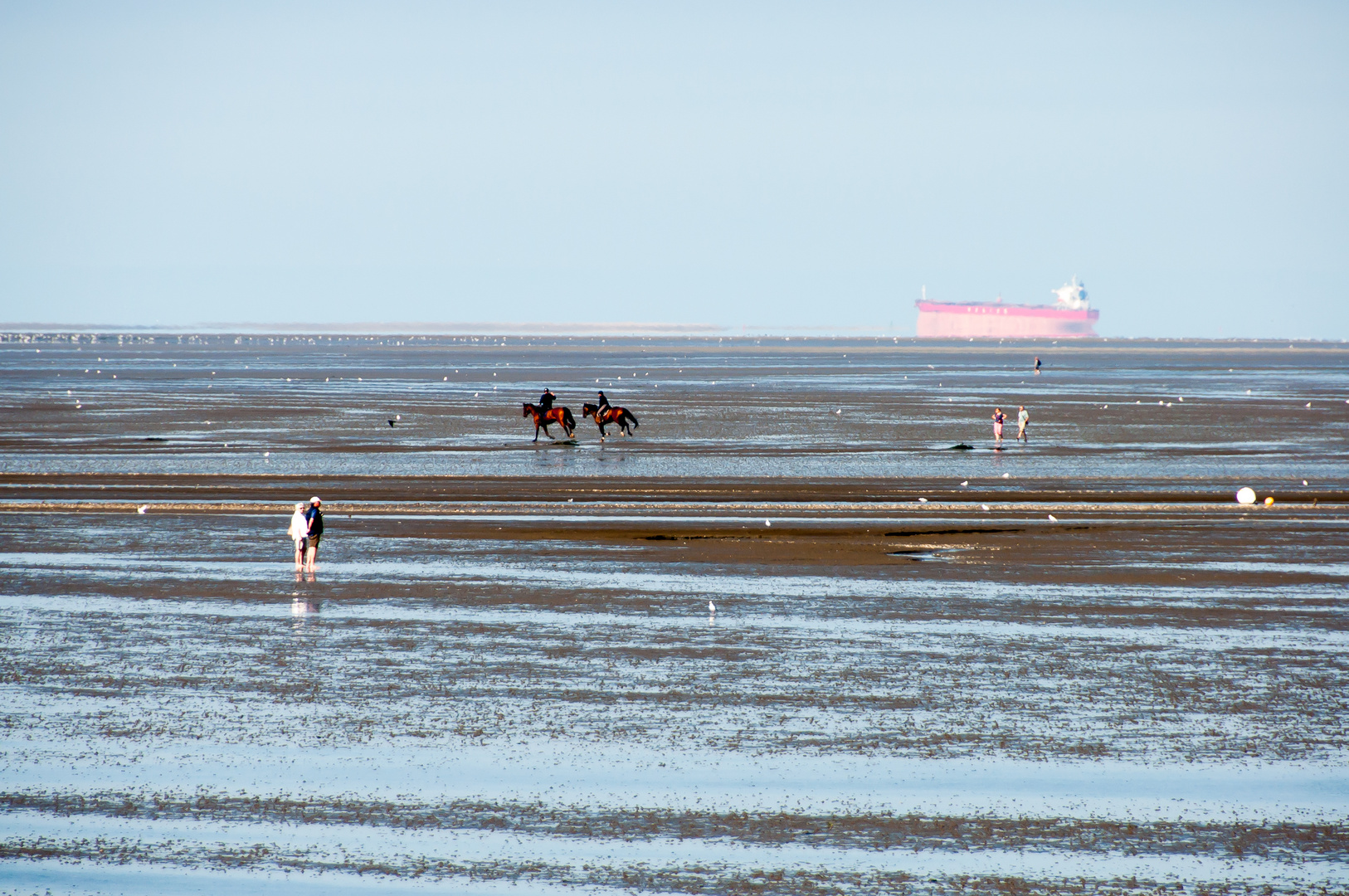 das Meer  - bei Ebbe