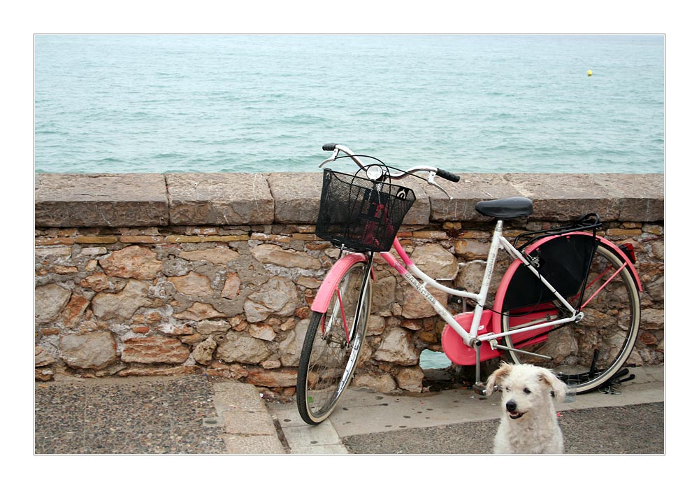 Das Meer, das Fahrrad und der Hund