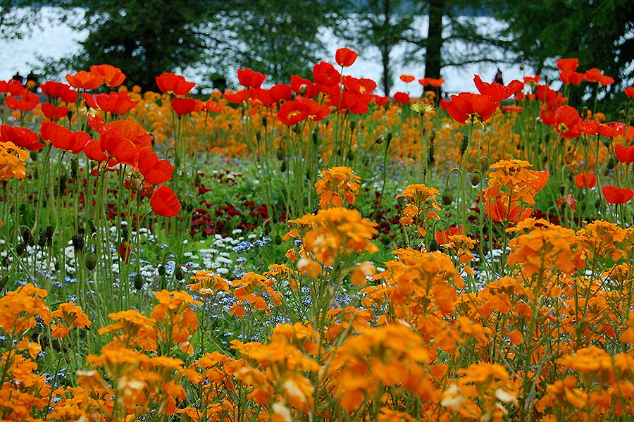 Das Meer der Farben.