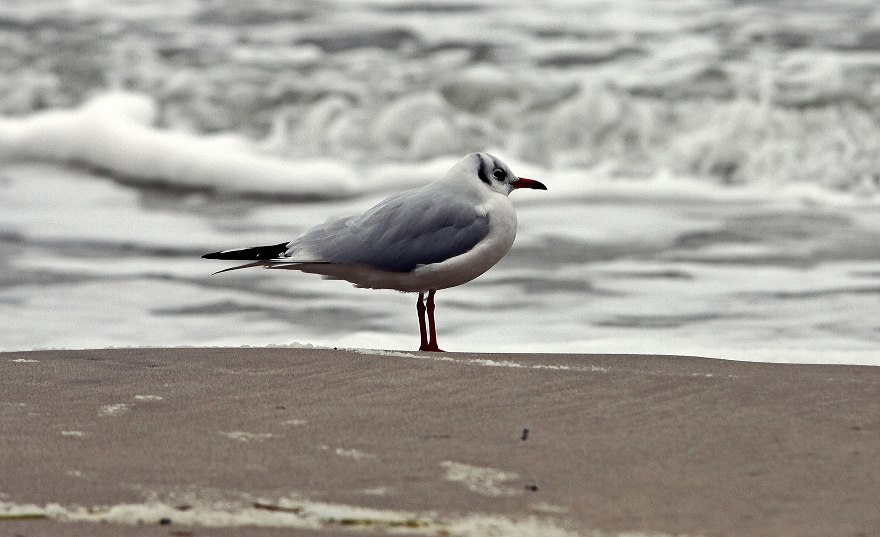 Das Meer in mir......