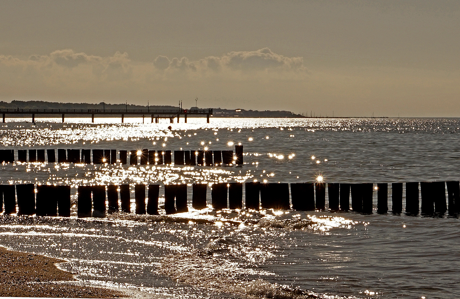 Das Meer leuchtet