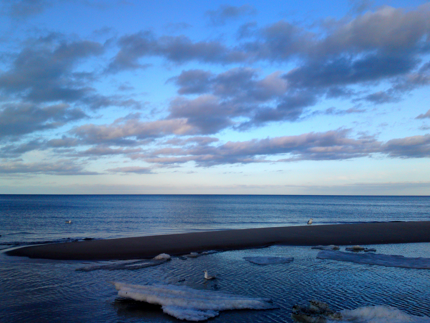 Das Meer mit Möwe