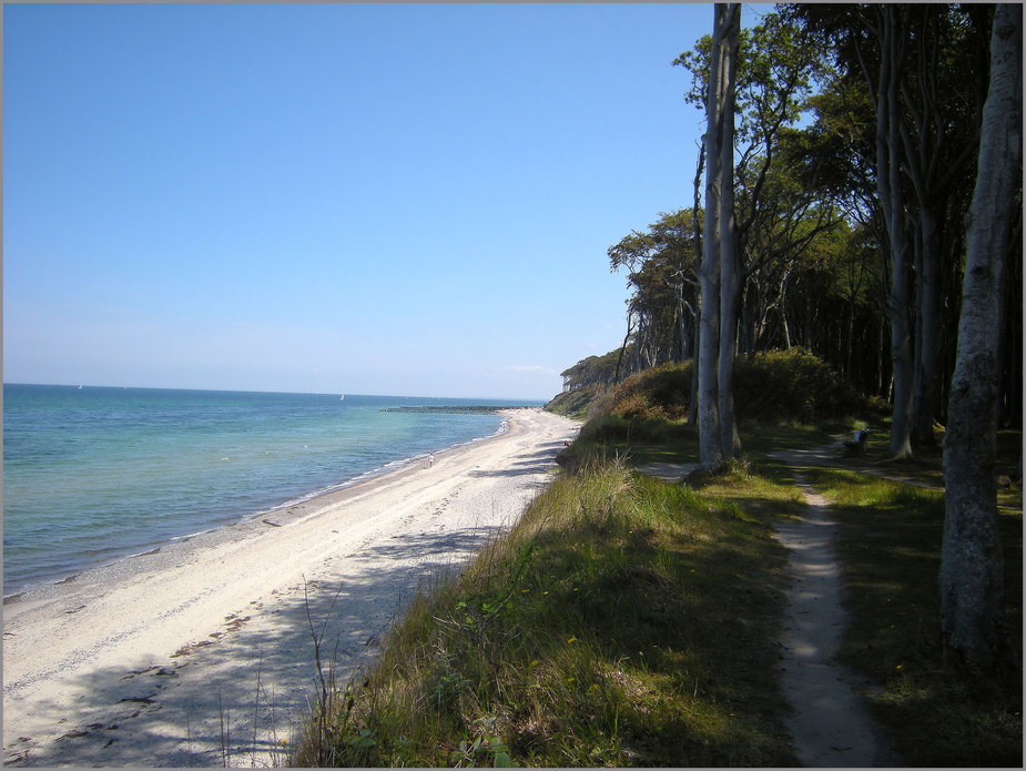 ...das Meer und der Gespensterwald