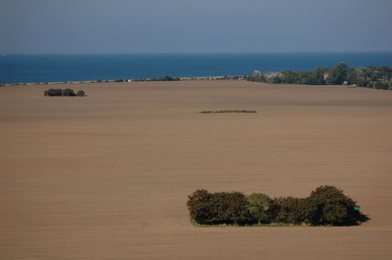 Das Meer und die Bauminseln im Acker