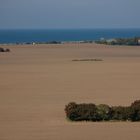 Das Meer und die Bauminseln im Acker