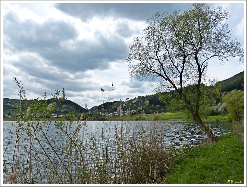 Das Meerfelder Maar in der Eifel.