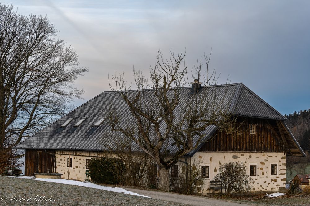 das meißtfotografierte... 