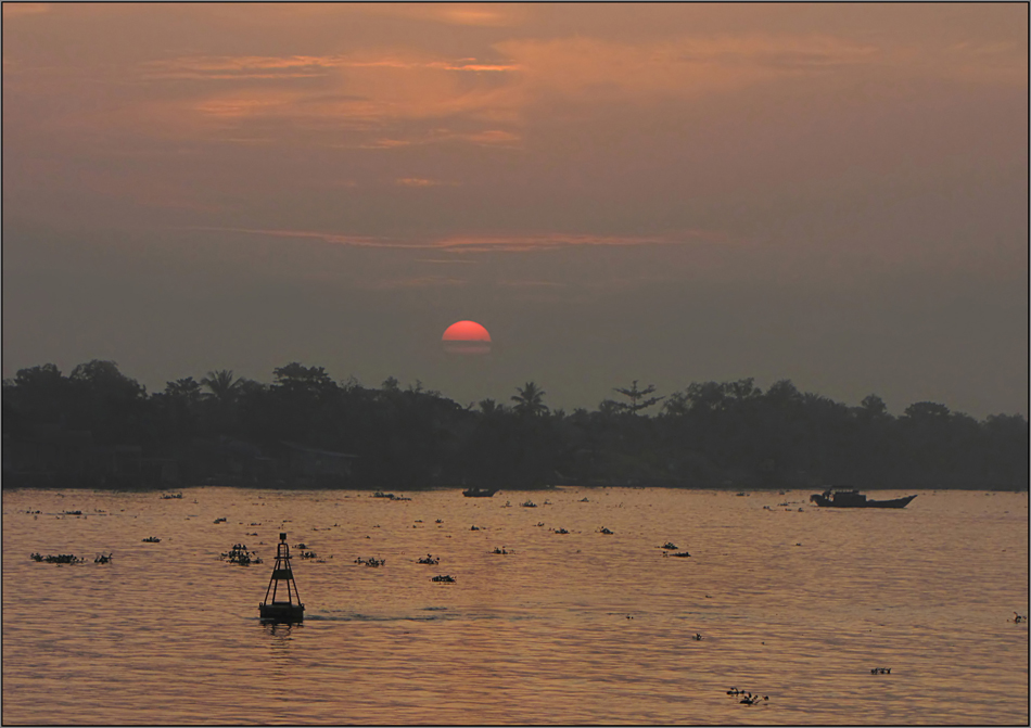 Das Mekongdelta erwacht