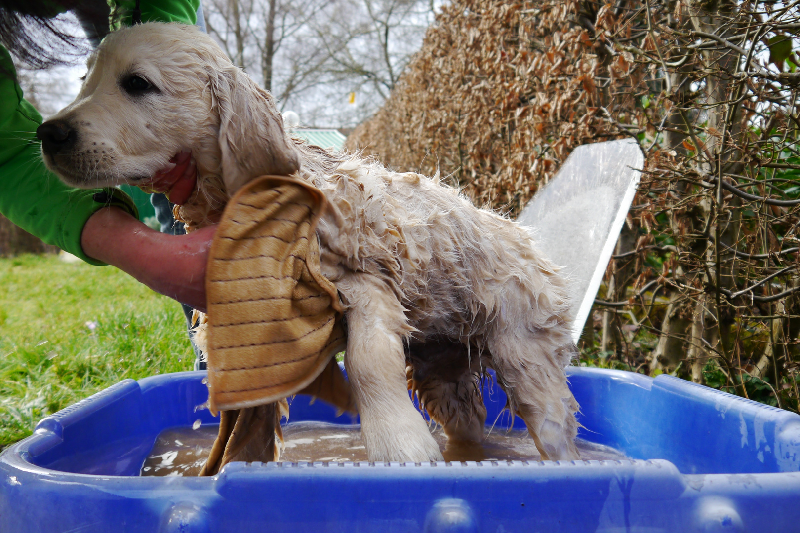 Das meld ich dem Tierschutz.....nie wieder Güllefeld