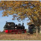 Das Meppel im herbstlichen Prignitzer Blätterrahmen