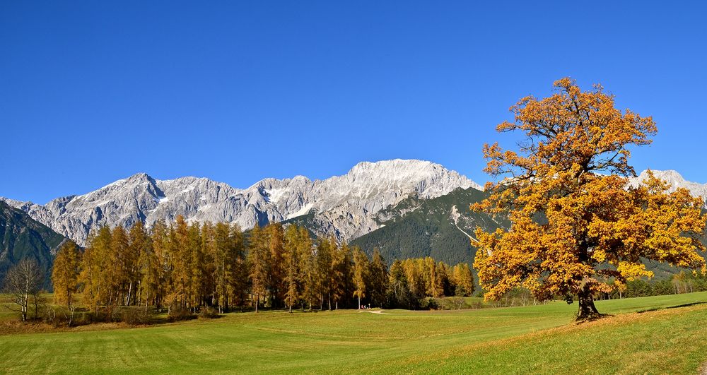 Das Mieminger Gebirge