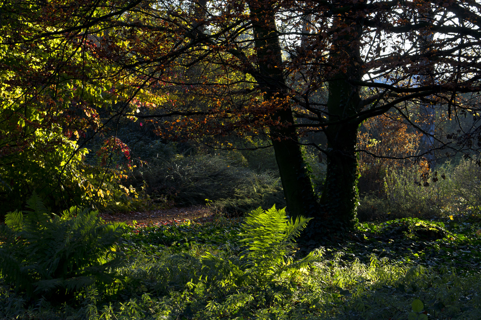 Das milde Licht des Herbstes