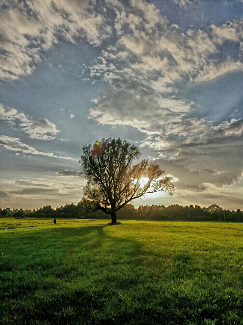 Das Milower Land - Havelland 