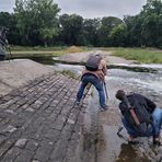 Das MO vom "Der Storch vom Cracauer Wasserfall"