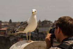 Das Model und der Fotograf