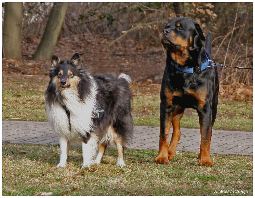 Das Model und sein Bodyguard