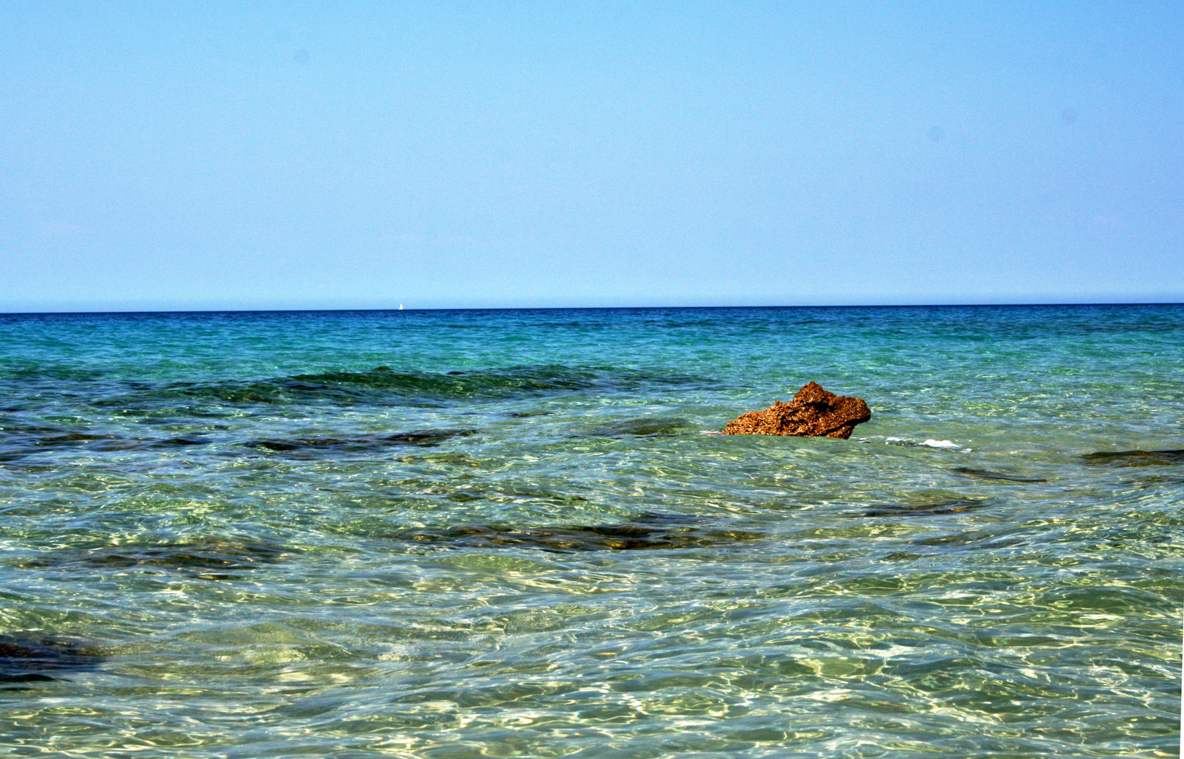 Das Monster verlässt das Meer