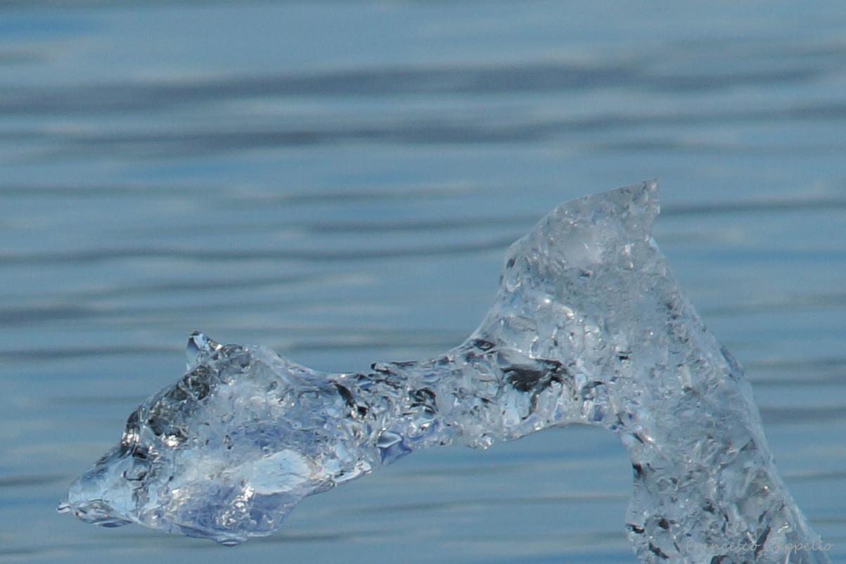 Das Monster von Jökulsárlón