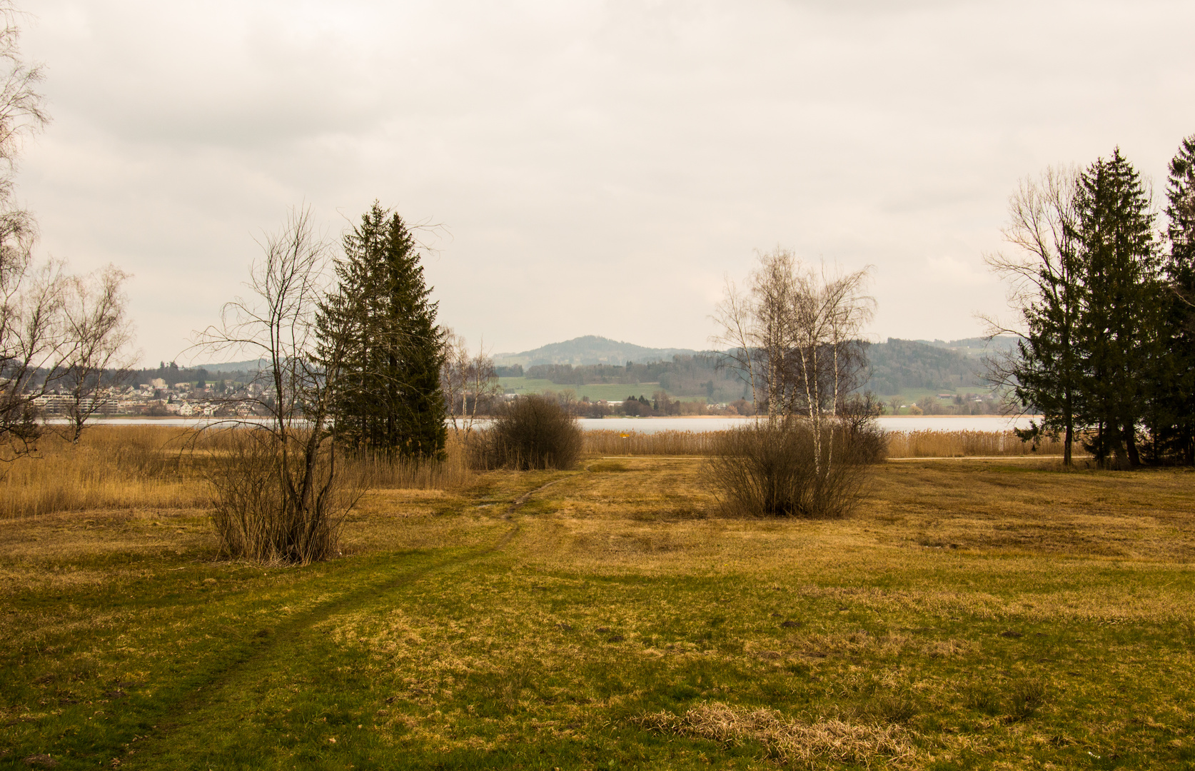 Das Moor am Päffikersee