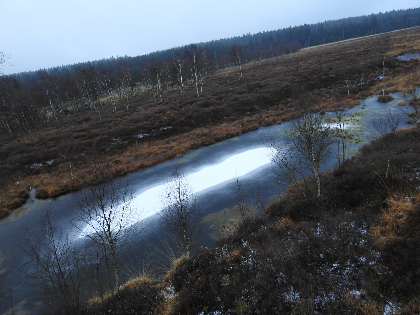 Das Moor im Solling