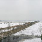 Das Moor im Winter 170°