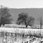 Das Moor im Winter