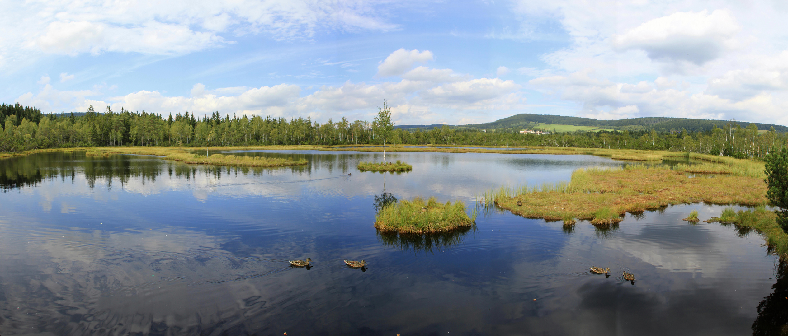 Das Moorauge des Chalupská slat'