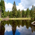 Das Moorbad bei Fleckl im Fichtelgebirge…