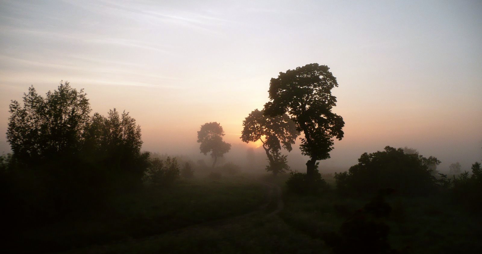 Das Morgengrauen